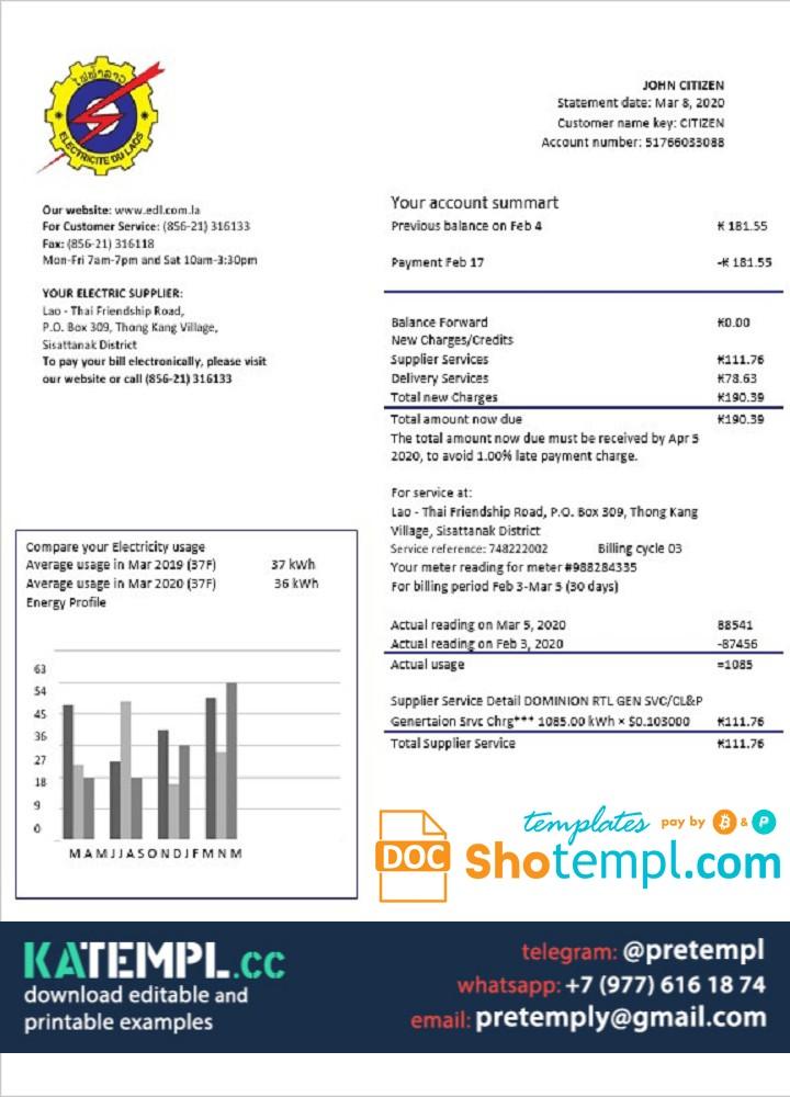 USA Lowe’s invoice template in Word and PDF format, fully editable