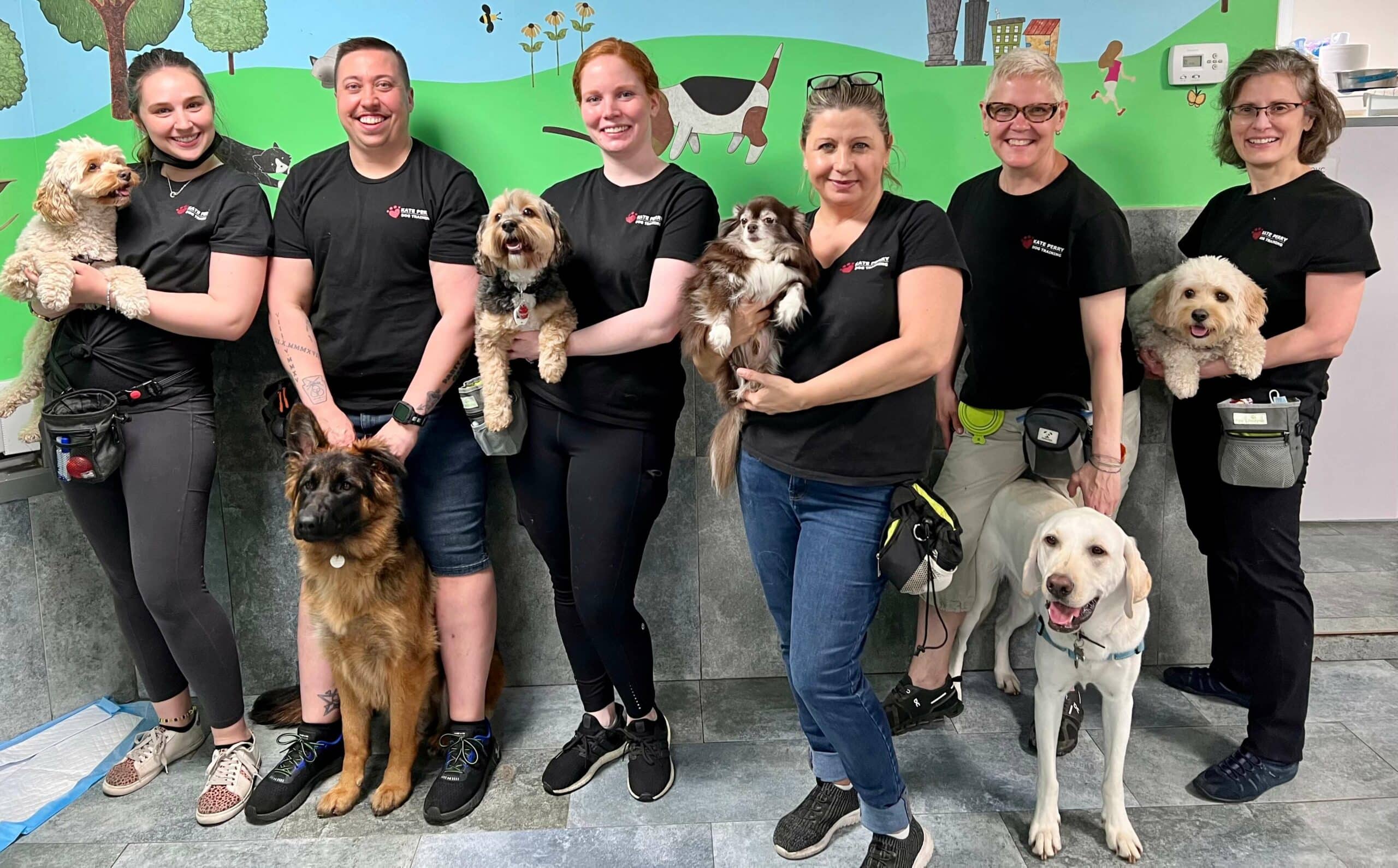 Photo Gallery Kate Perry Dog Training