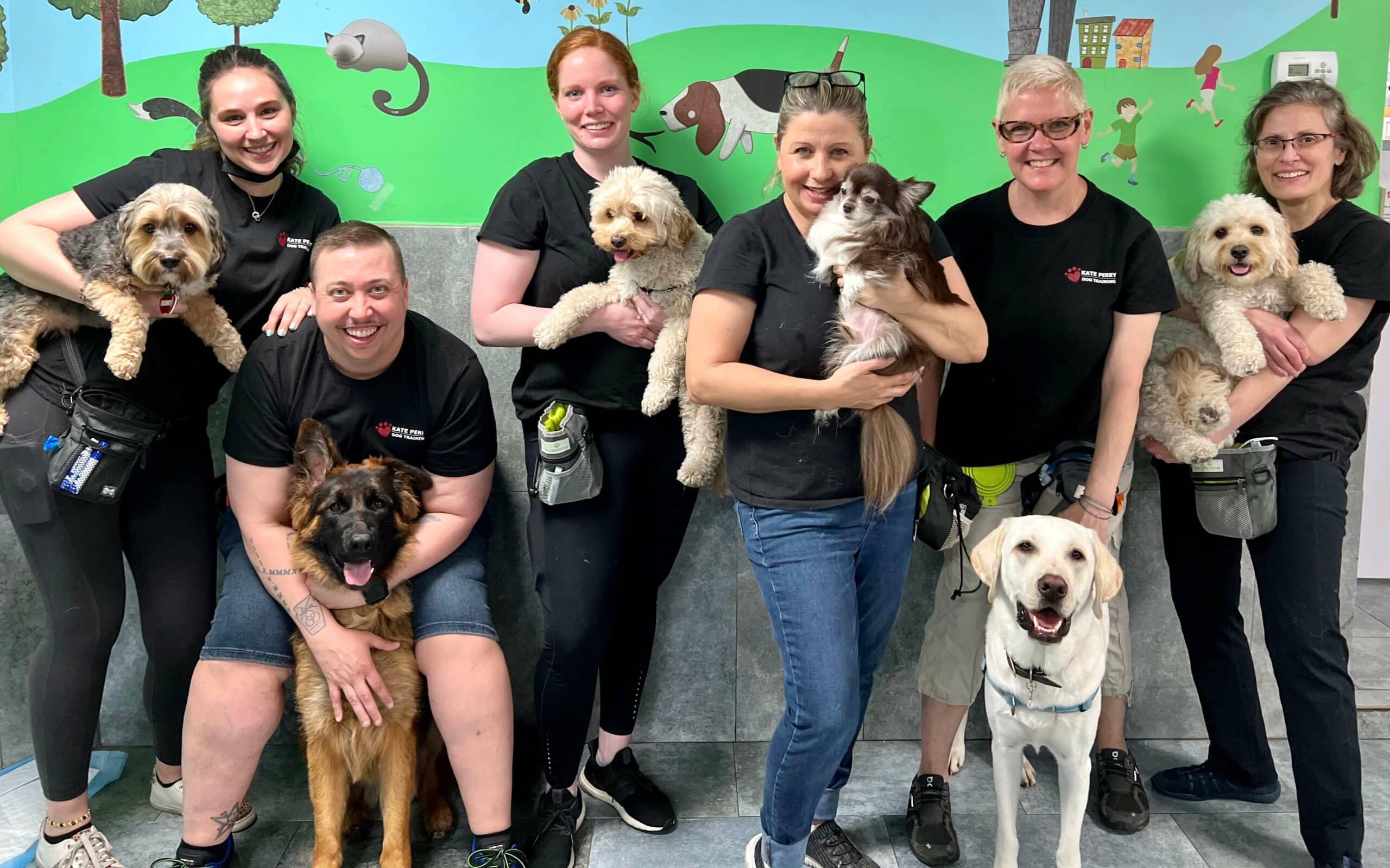 Photo Gallery Kate Perry Dog Training