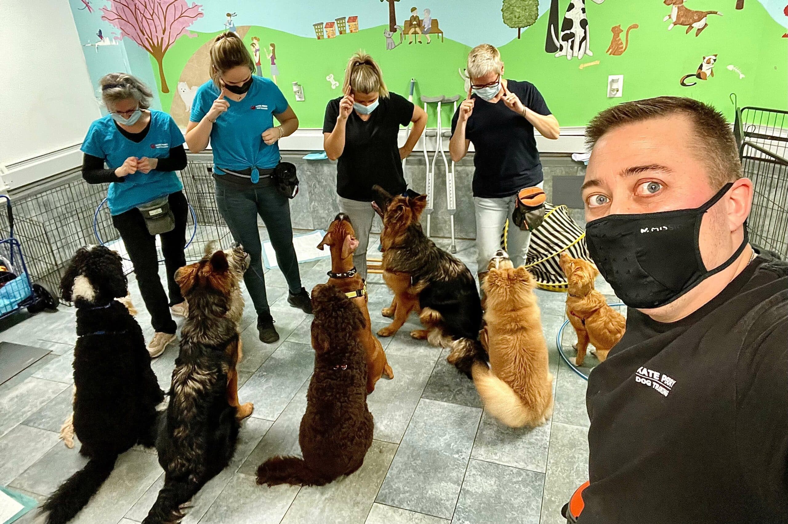 Photo Gallery Kate Perry Dog Training