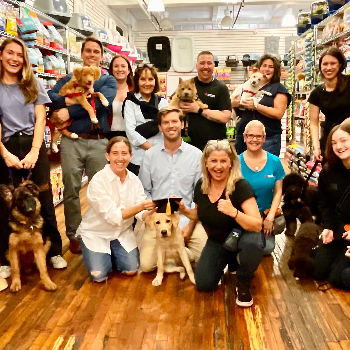 Kate Perry Dog Training