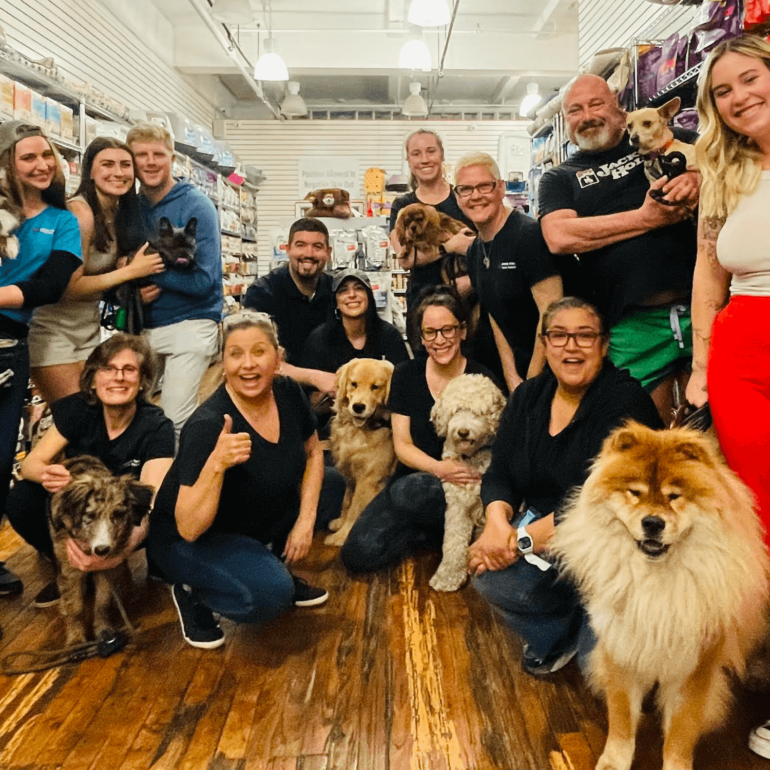 Kate Perry Dog Training