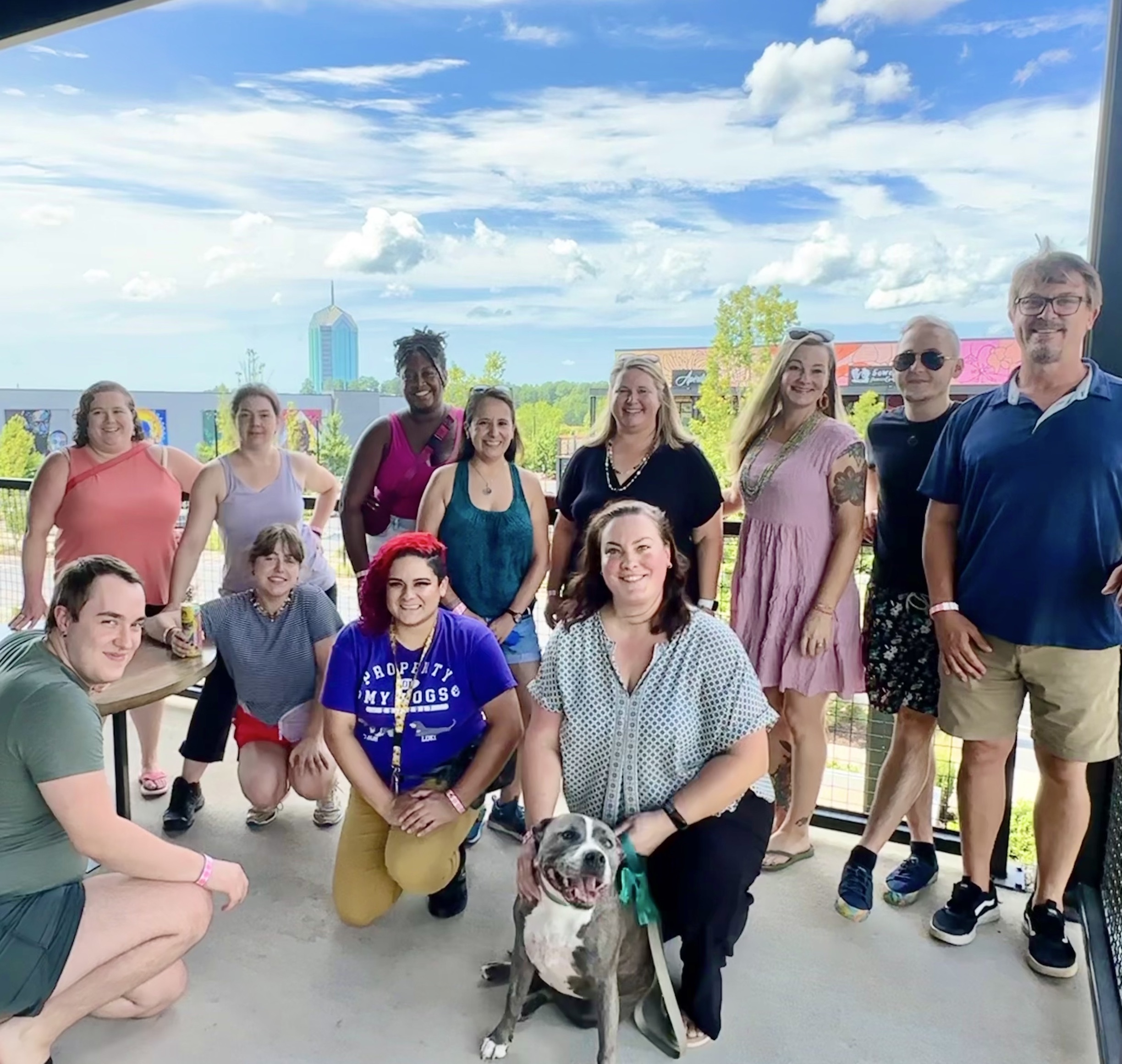 Professional Dog Walking & Pet Sitting Durham & Chapel Hill