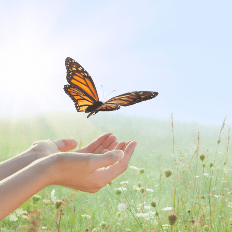 Releasing Blocked Energy Kate Shipp