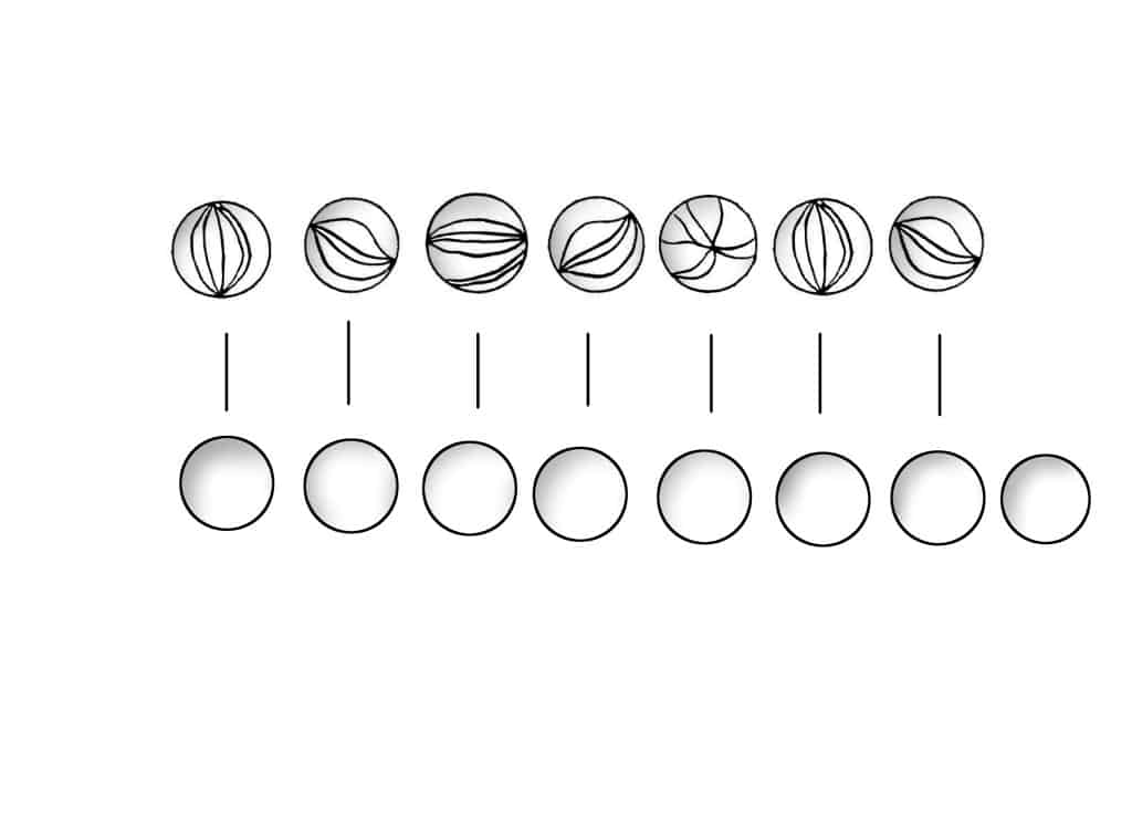 Preschool and Kindergarten Homeschool Math Kate Snow Homeschool Math Help