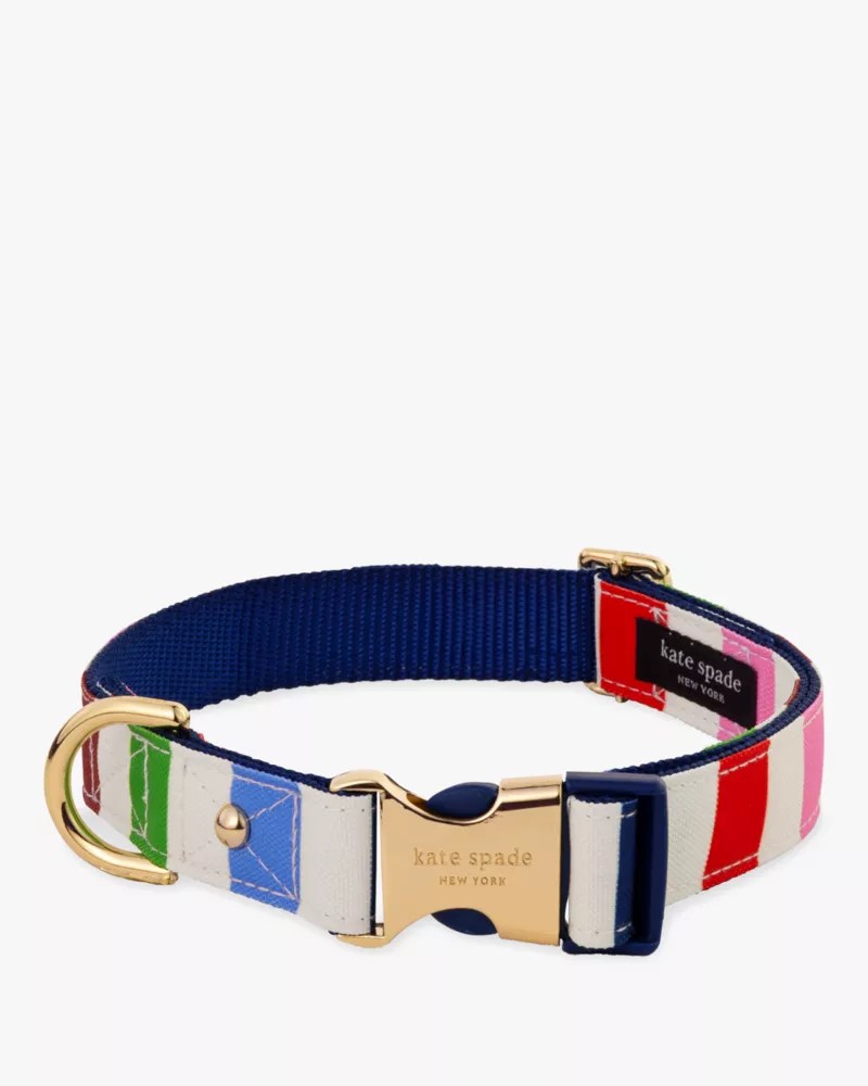 Adventure Stripe Collar S/M Kate Spade Outlet