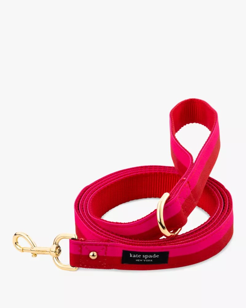 Colorblock Leash Kate Spade Outlet