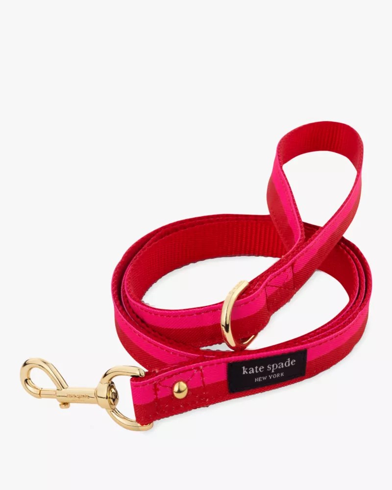 Colorblock Leash S/M Kate Spade Outlet