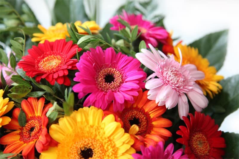 How to make fresh flowers last longer Kat Flowers & Events