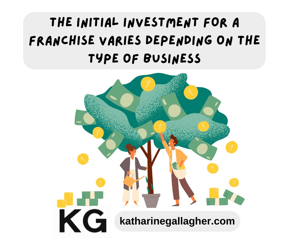 Uncover Lucrative Franchise Opportunities for Success