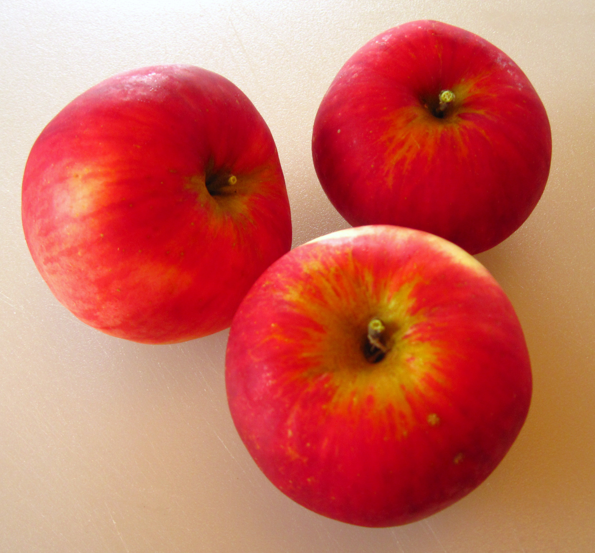 301 Moved Permanently