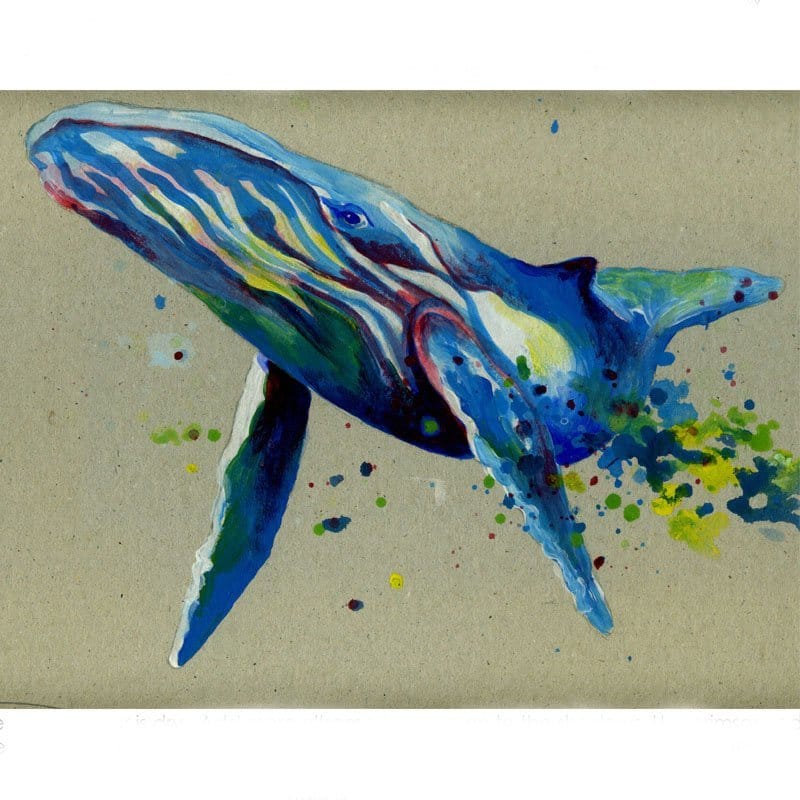Whale Acrylic Paint Lesson Plan Kathryn Saunby Artist & Art Studio