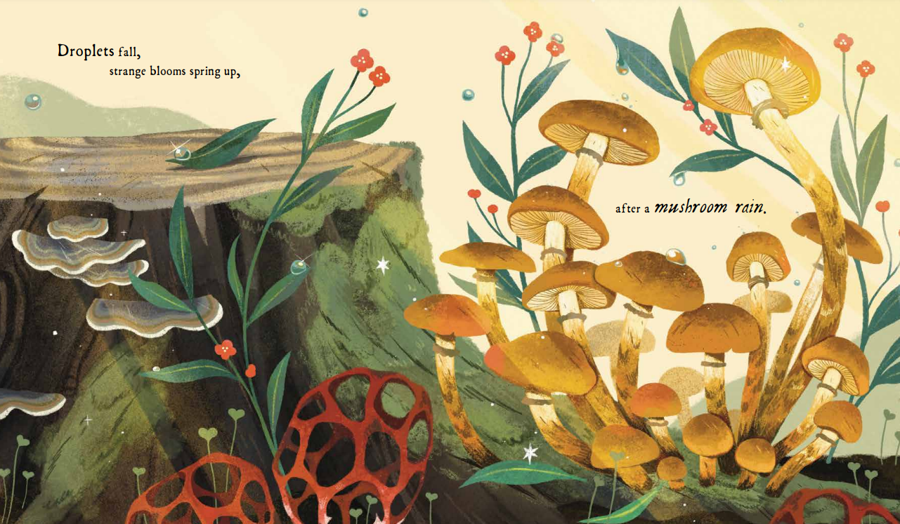 Book Giveaway MUSHROOM RAIN by Laura K. Zimmermann Writing and