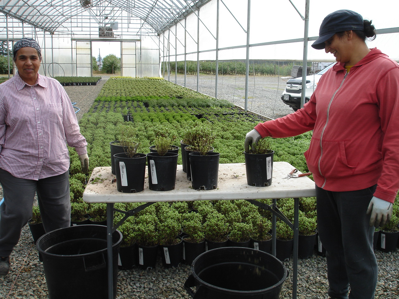Nursery & Staff Kato's Nursery