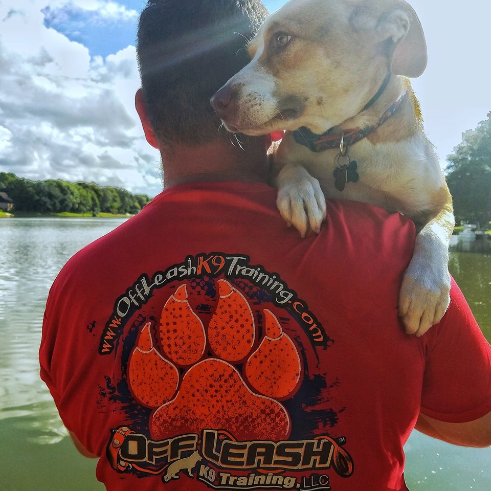 Houston Texas Dog Trainers Houston Off Leash K9 Dog Training Dog