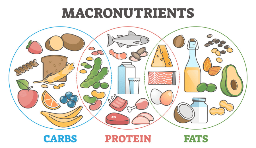 Low Carb Diet in Katy Texas Gastro Health & Nutrition
