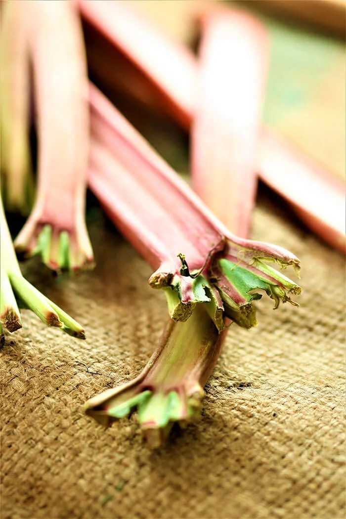 Easy Lime & Ginger Rhubarb Chutney Katy Keck Palate. Passion. Purpose.