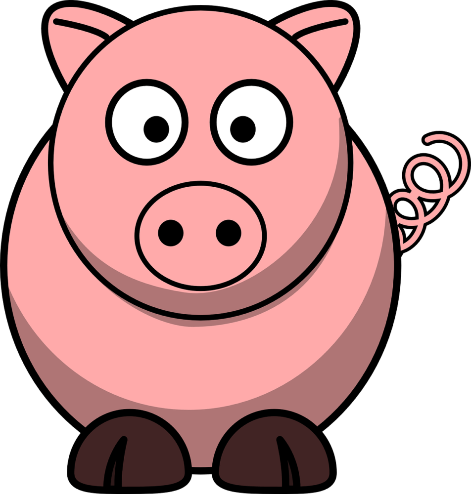 Dürfen Katzen Schweinefleisch fressen? katzeratgeber.de