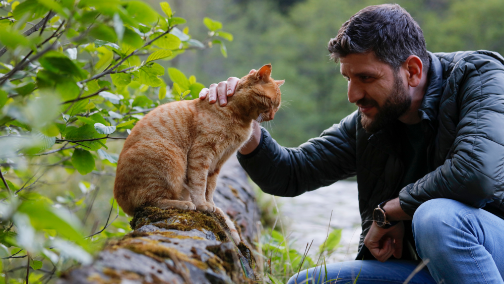 Mit Katzen sprechen So kommunizierst Du mit Deiner Katze