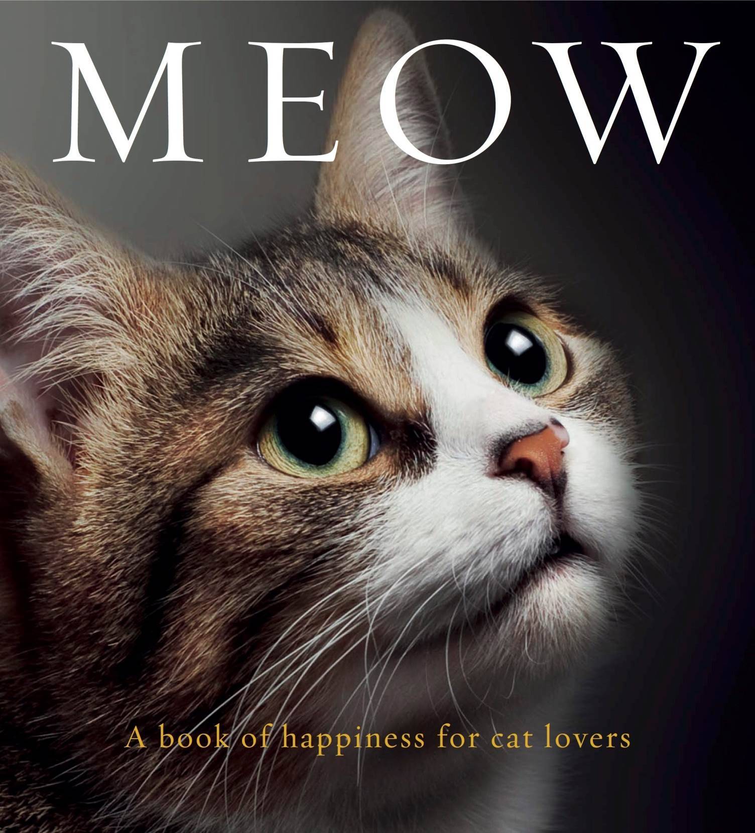 Mews MEOW A book of happiness for cat lovers Katzenworld