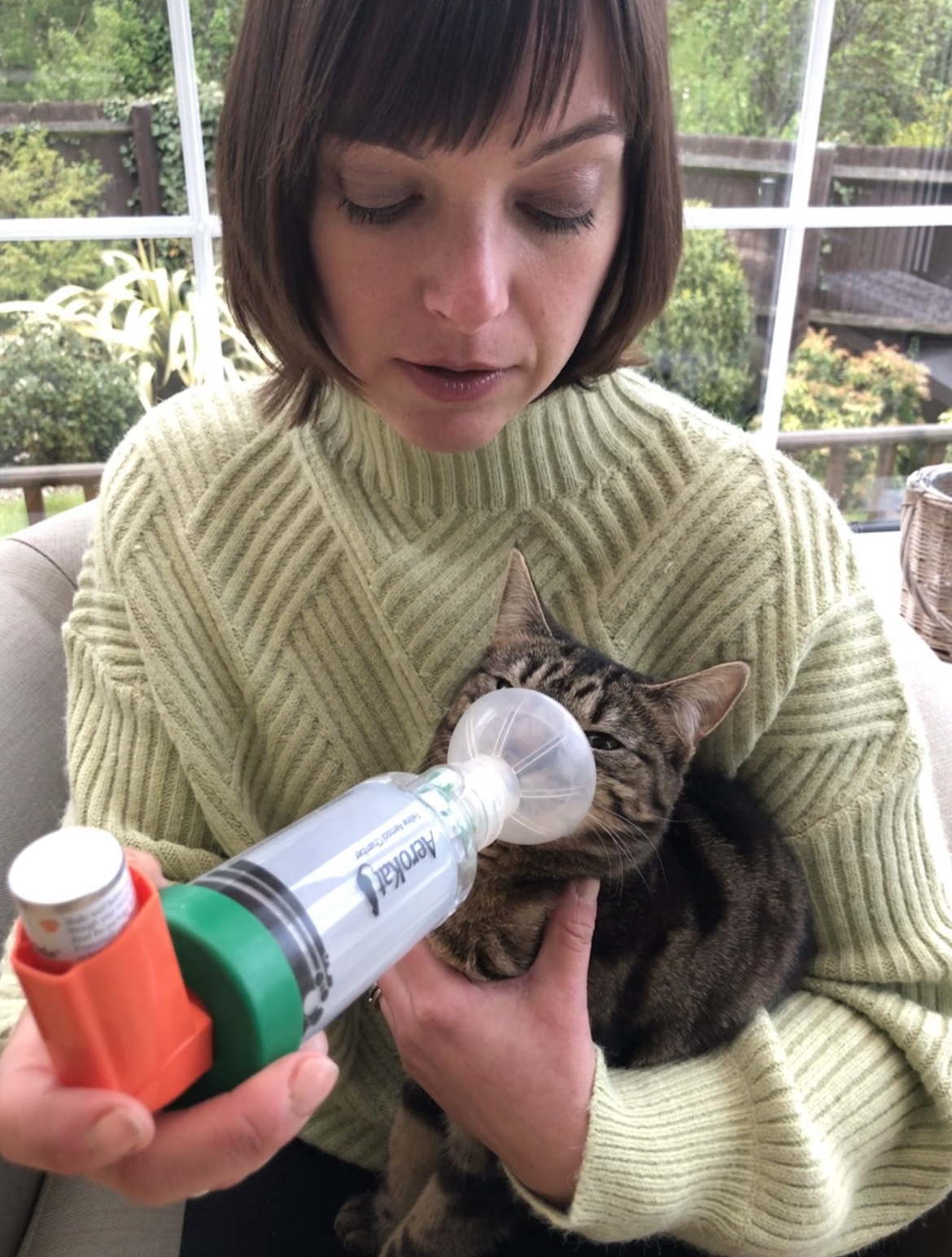 My cat and I Living With Feline Asthma My Pets Routine