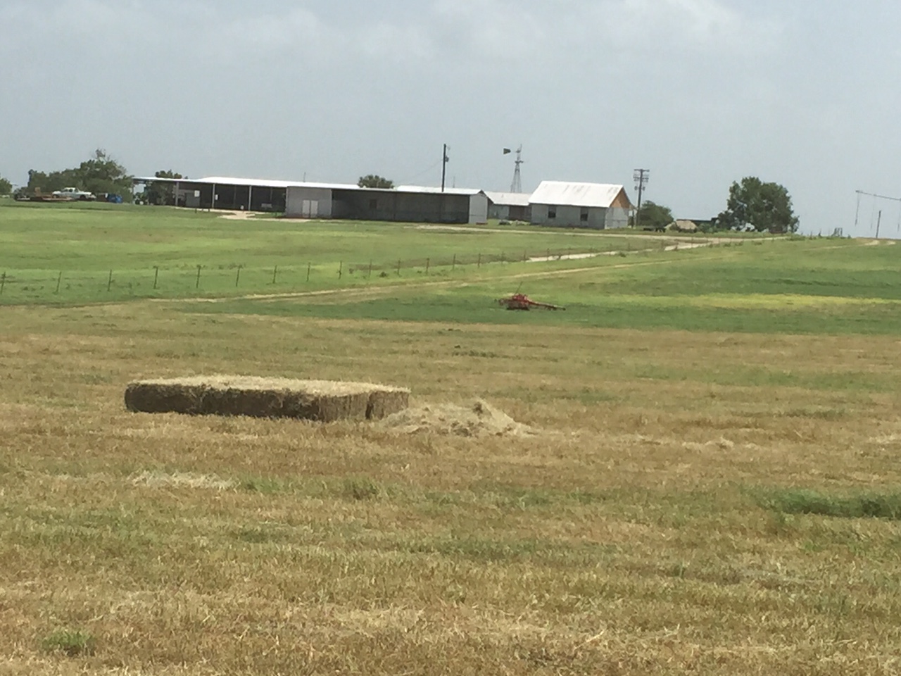 Hay / Cattle Katzfey Ranch