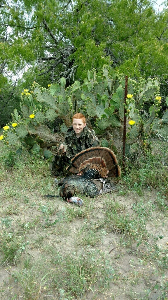 Turkey Hunts Katzfey Ranches