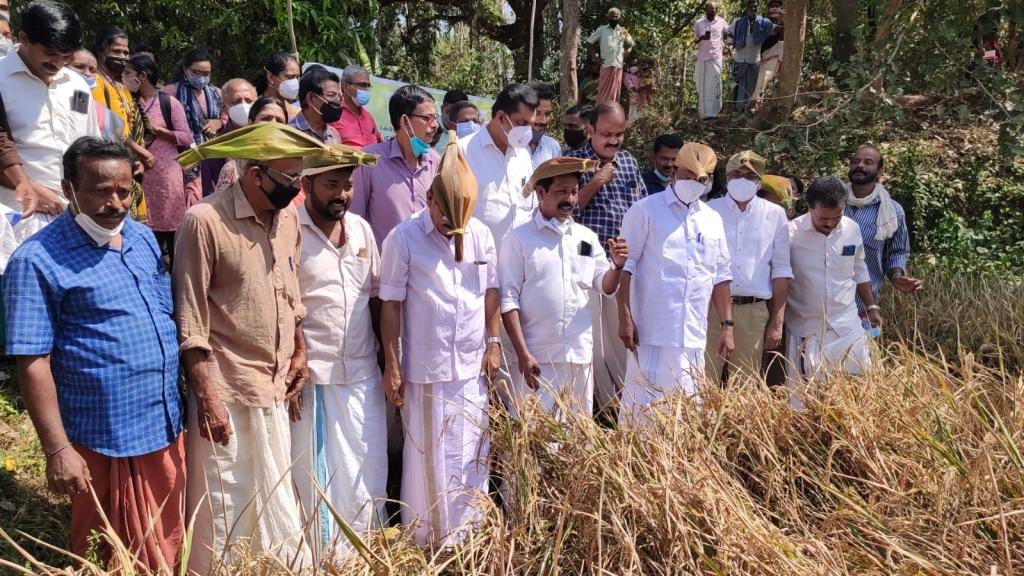 ICARKVK Thrissur conducted the Harvest festival of the FLD on the