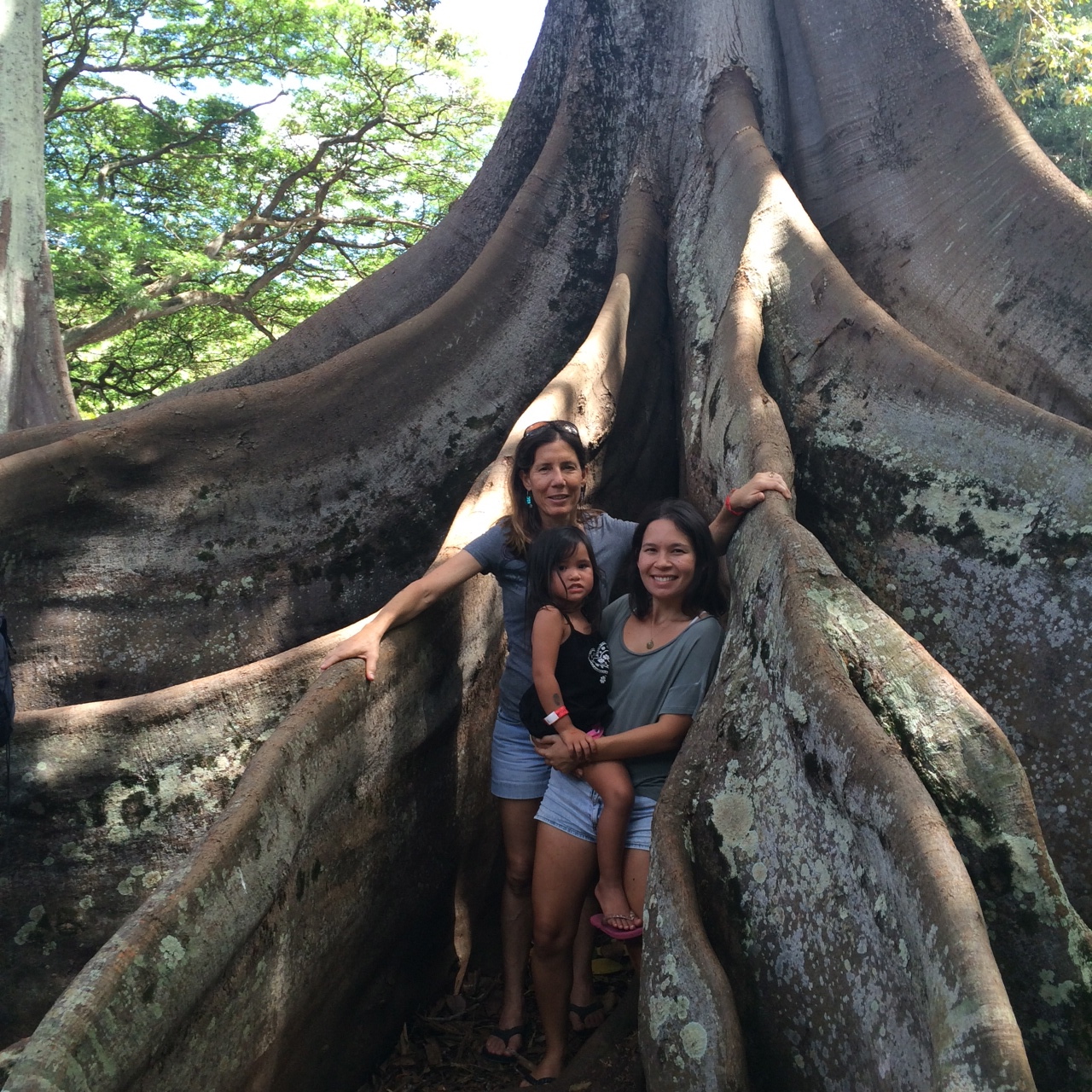 What to do on Kauai this Summer Allerton Gardens, Kauai, Tour.