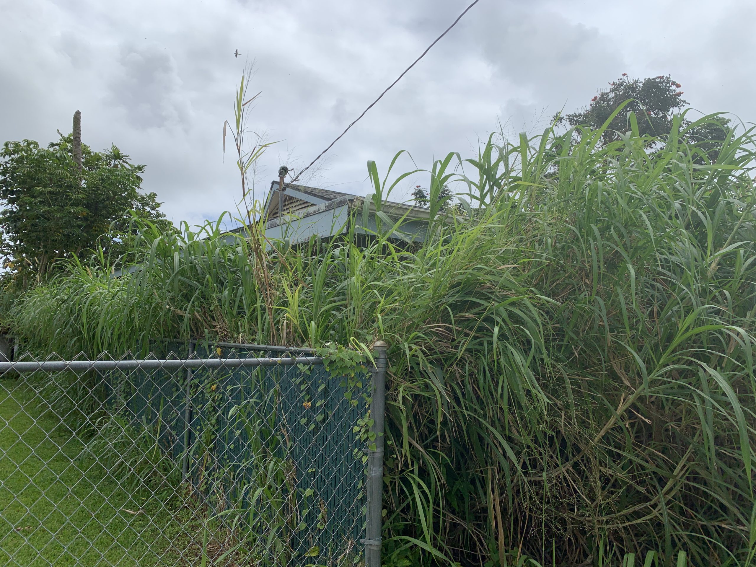 Kauai Foreclosures, Kauai REO, April 2021 List (Auction video)