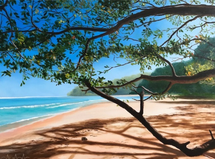 Princeville Community Fine Arts Exhibit »» Kauai Festivals & Events