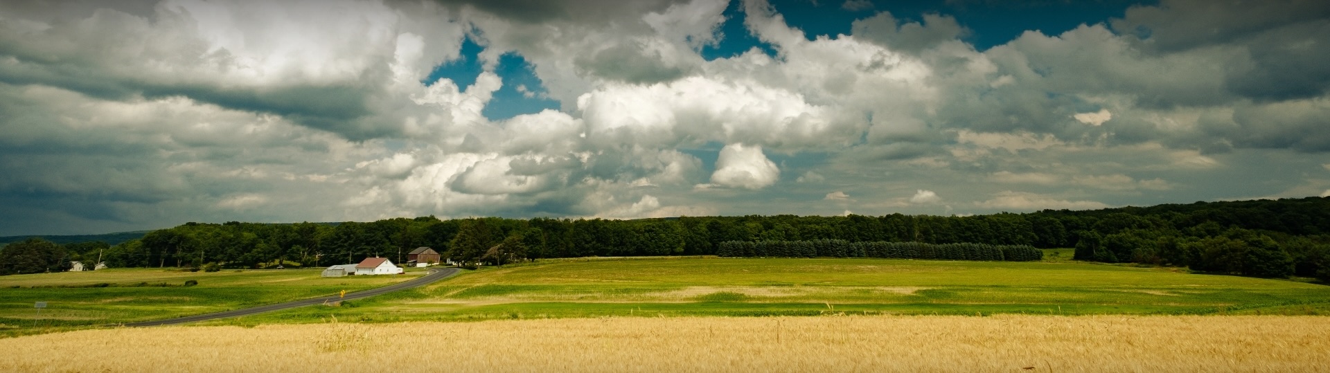 Kaufman Realty & Auctions