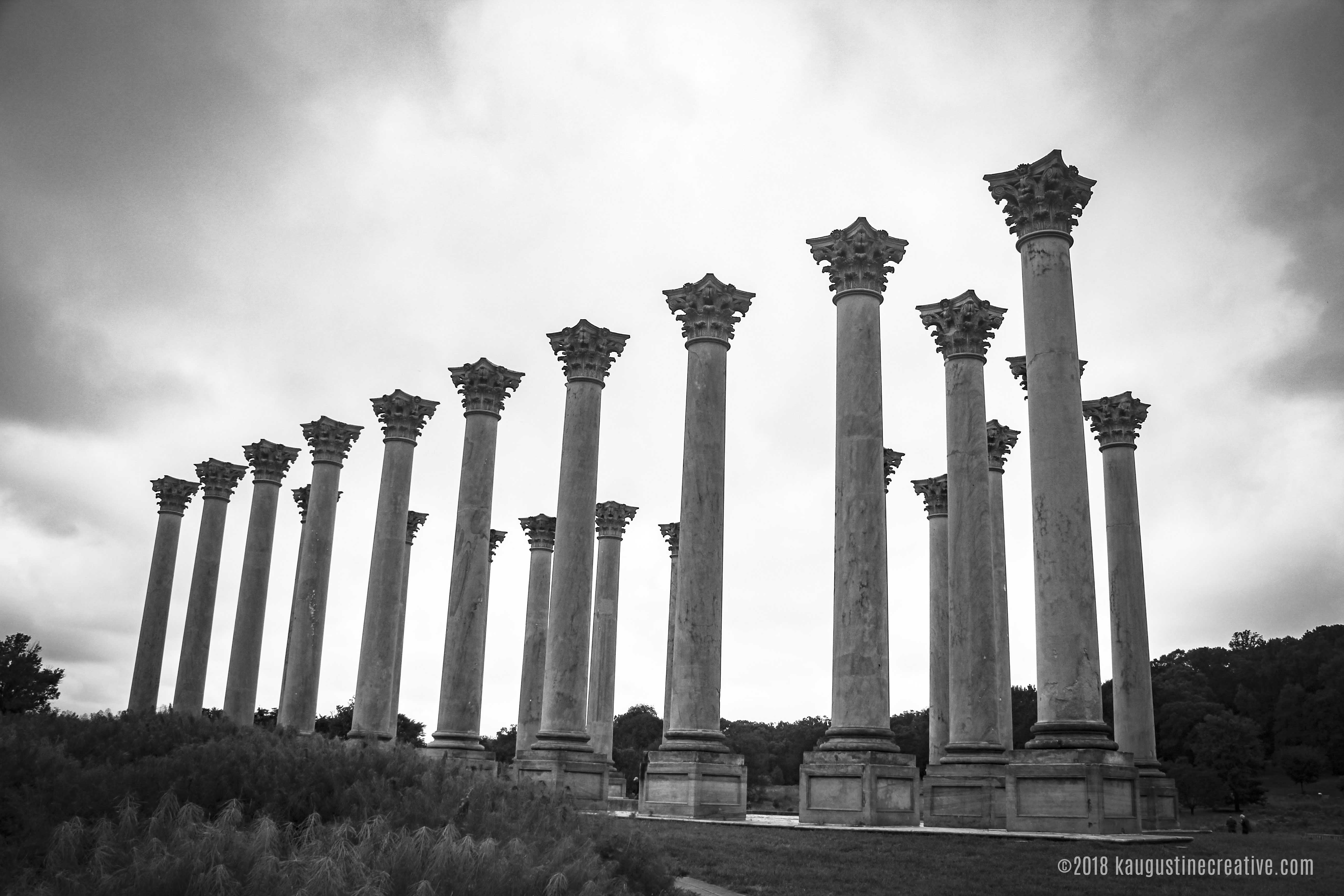 Arboretum KA // Creative