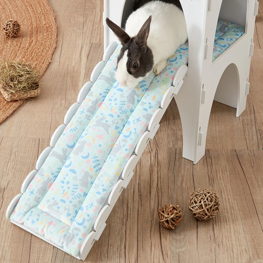 Accessories for Bunnies