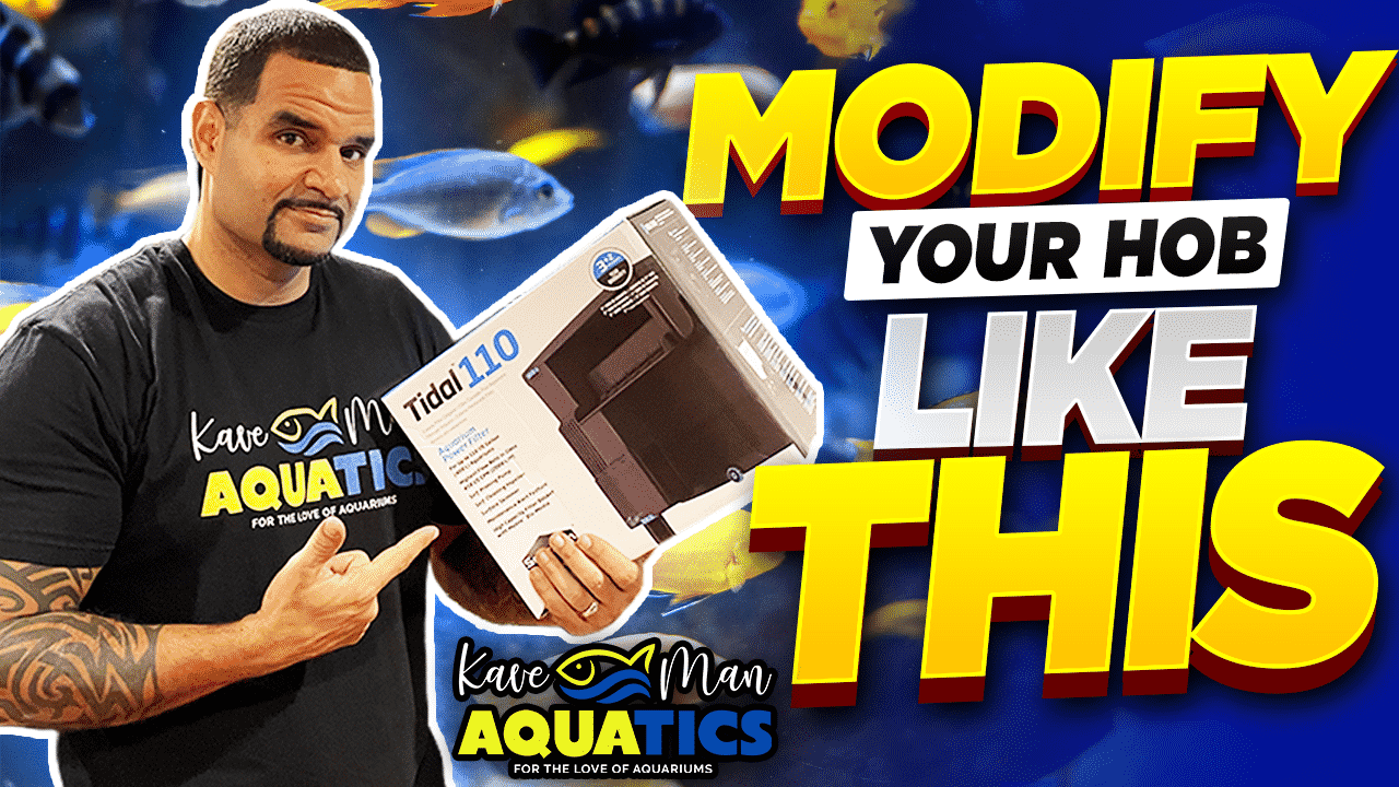 Water Polishing Filter for Aquarium KaveMan Aquatics