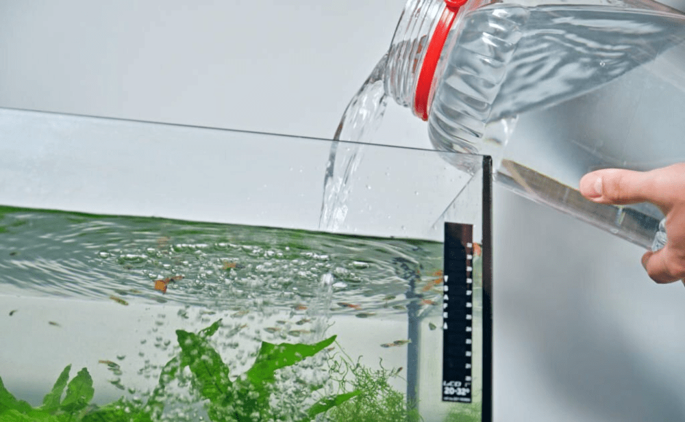 Is It Ok To Use Tap Water for Aquariums? KaveMan Aquatics