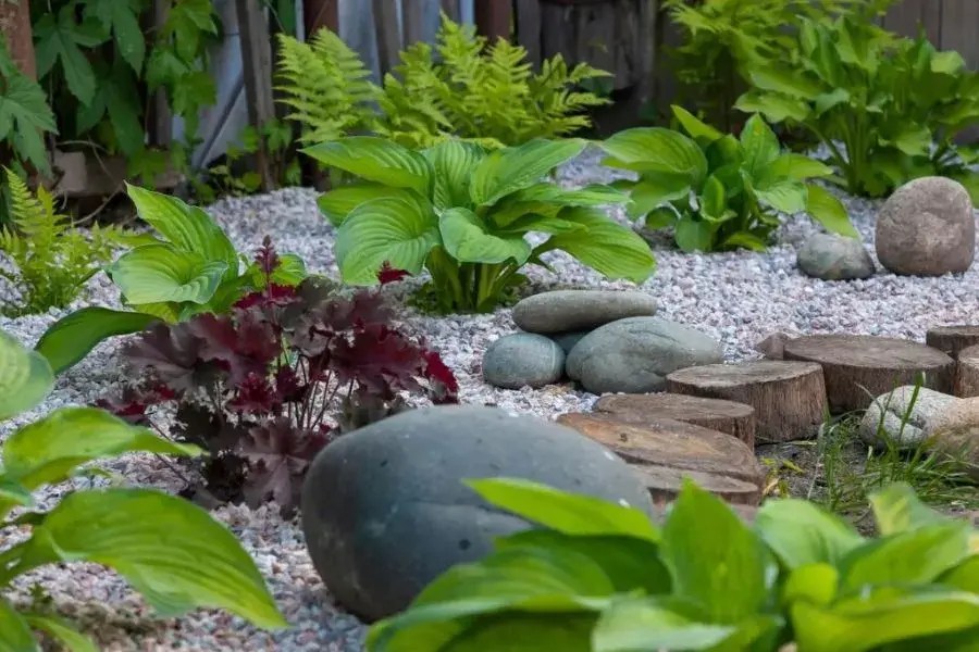 10 Best Perennials for Rock Gardens Kavland