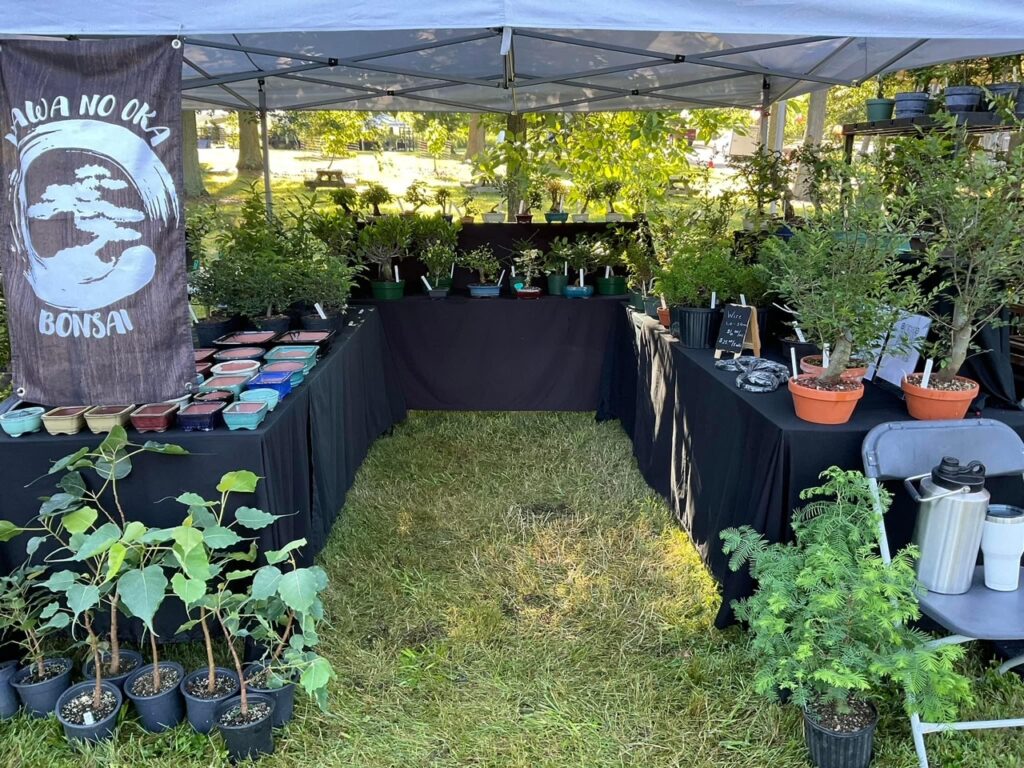 2023 Columbus Bonsai Society Show Columbus OH Kawa No Oka Bonsai