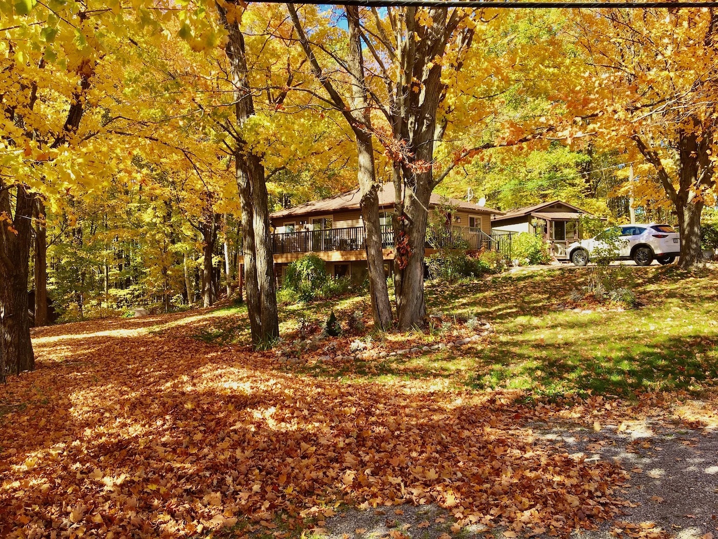 Lakehurst Retreat At Sandy Lake Kawartha Cottage Vacations