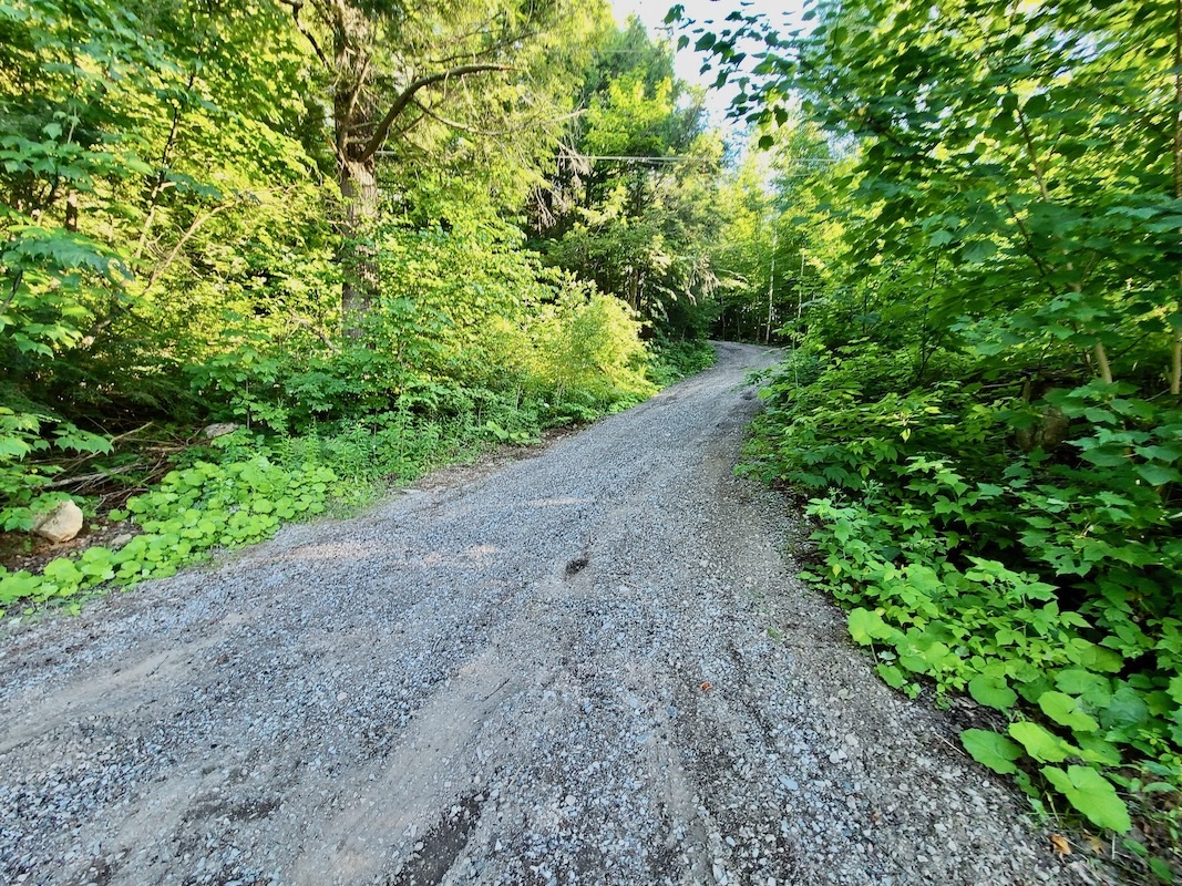 Lakeside Cottage on Eels Lake Kawartha Cottage Vacations