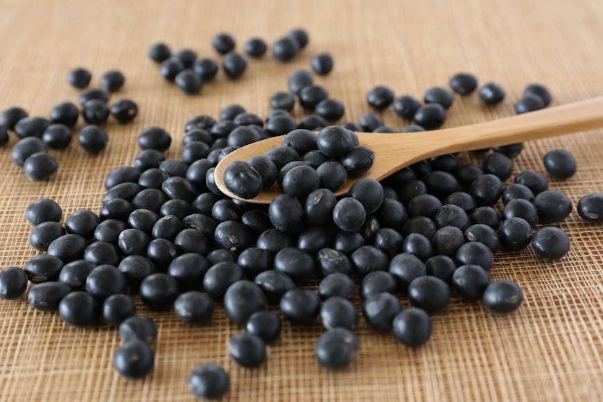 KAWASHIMAYA Black Soybean Tea 100g (5g x 20 Teabags) 100 Made in Ja kawashimaya the japanstore