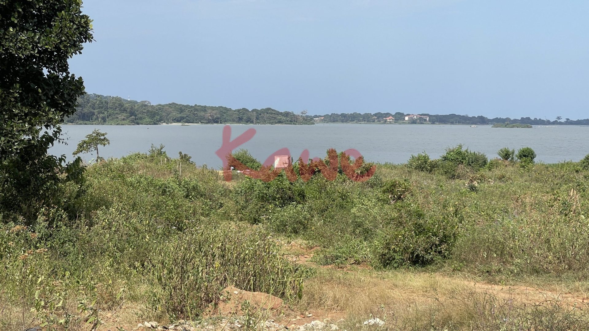 Lakeside Land for Sale in Nkumba Entebbe Touching Lake Victoria Kawe Realtors