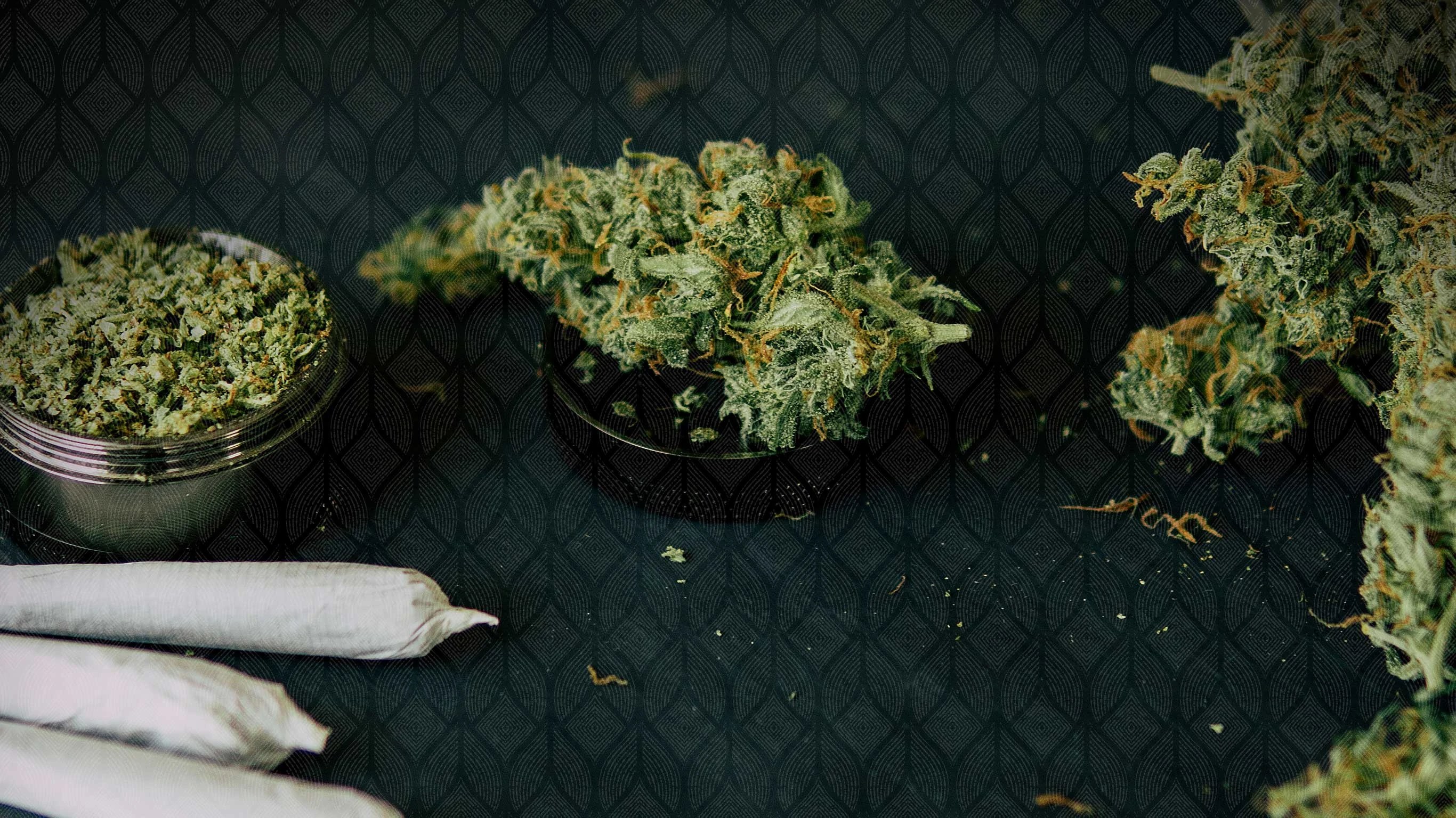 Herbs » Kaya » Herb House Jamaica