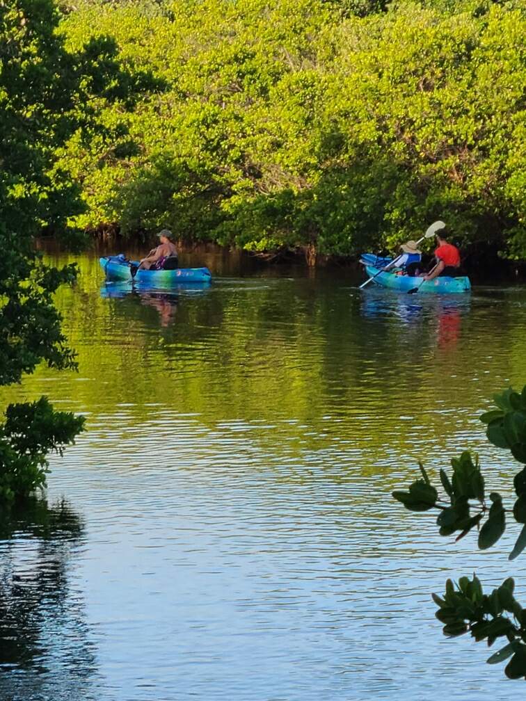 SelfGuided Eco Tour County Launches Kayak Jacks