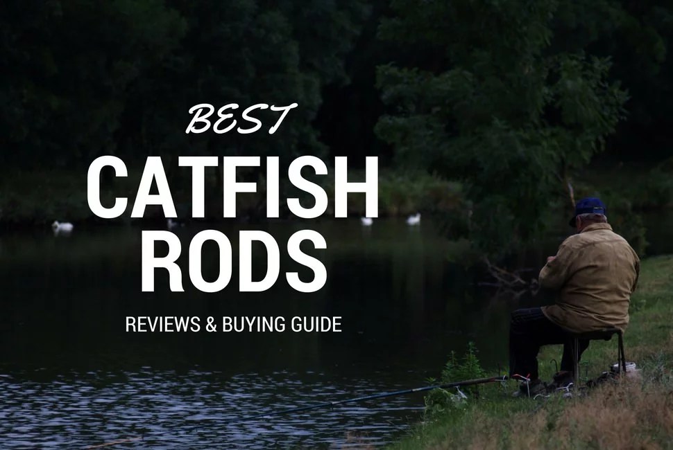 Best Catfish Rods 2024 The Best Rods For Catfish (Review & Guide)