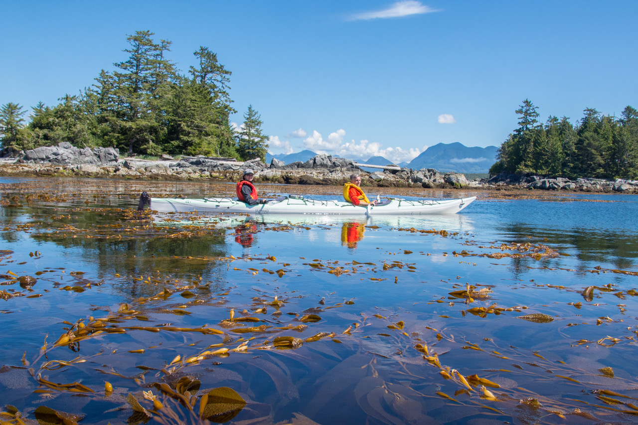 Broken Islands Kayaking Wildheart Adventures