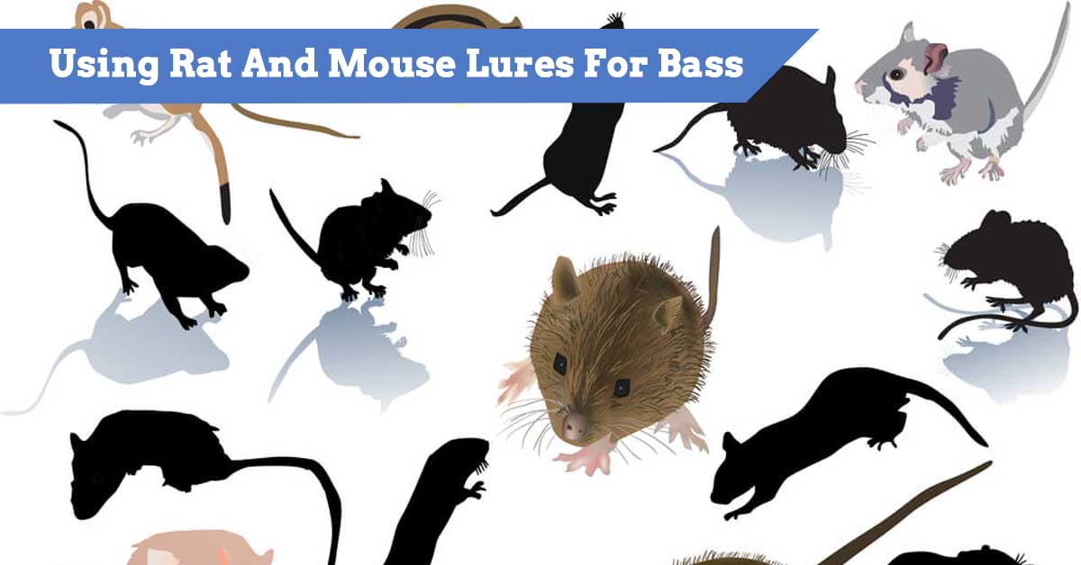 Rat Lures For Bass Guide To Using Plastic Rodents, Mice For Topwater