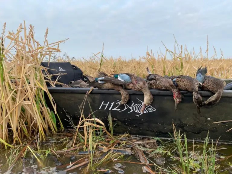 11 Best Kayak Duck Hunting Accessories