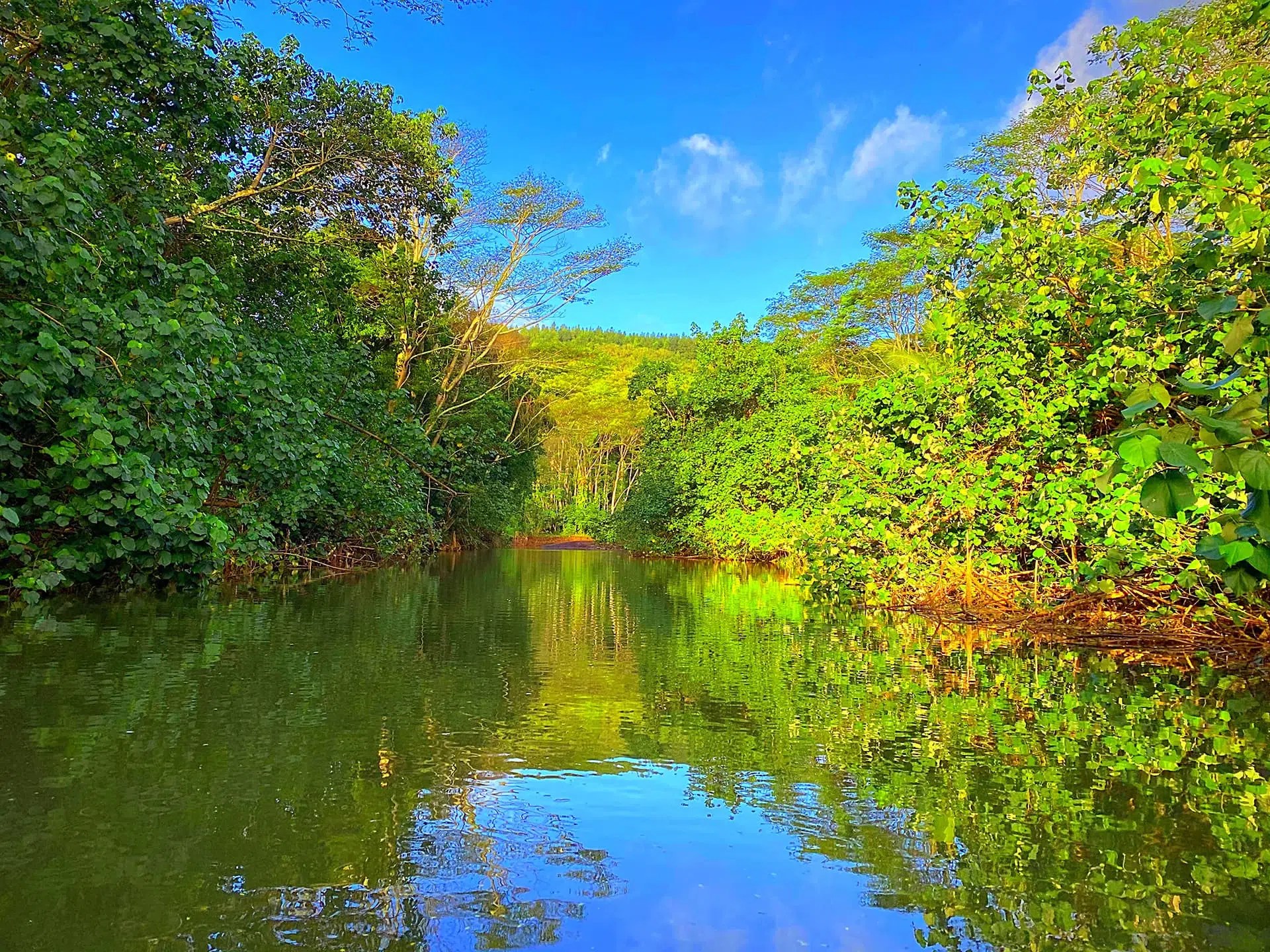 Kayaking adventure on Kauai Duke’s Kayak Adventures