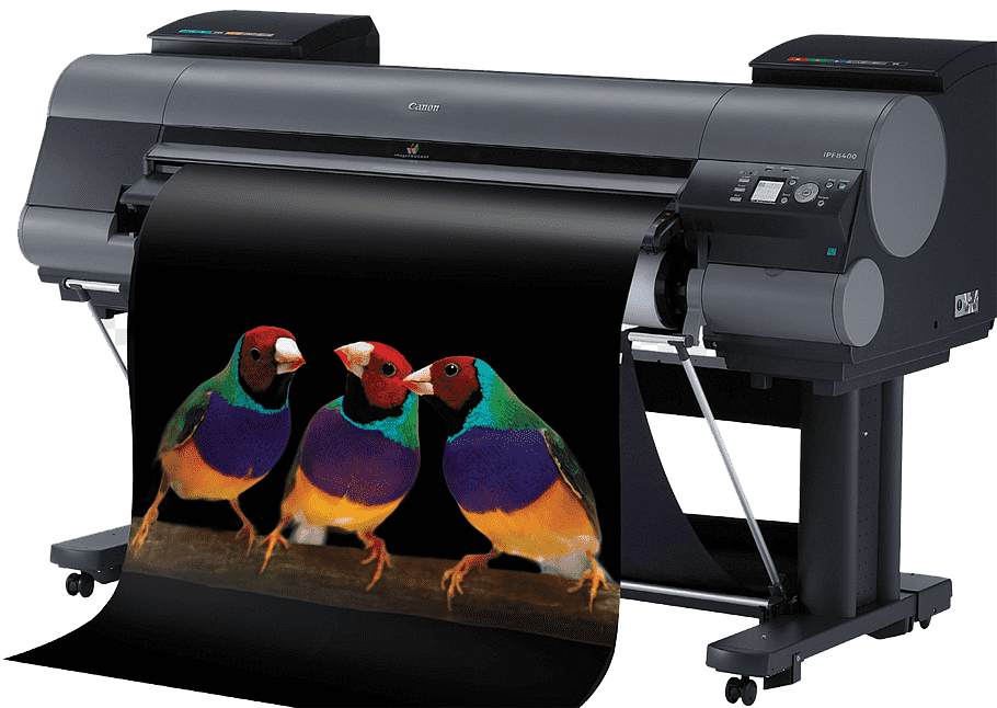 Kayan Advance System Trading Home